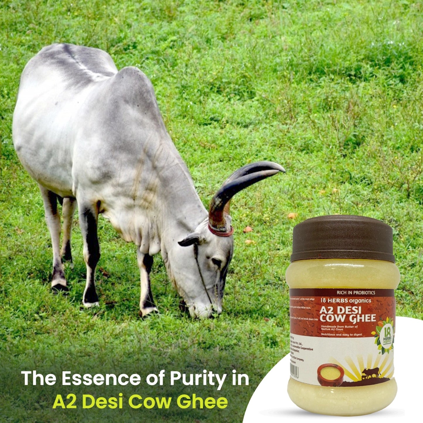 18 Herbs Organics A2 Desi Cow Ghee - 200 ml