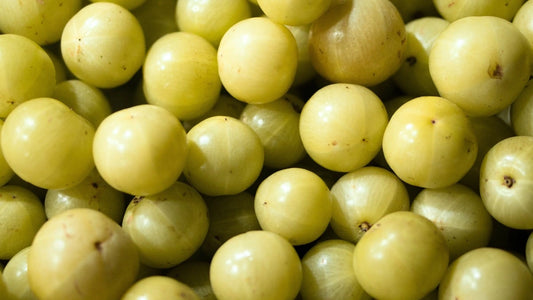 What are the Health Benefits of Amla?