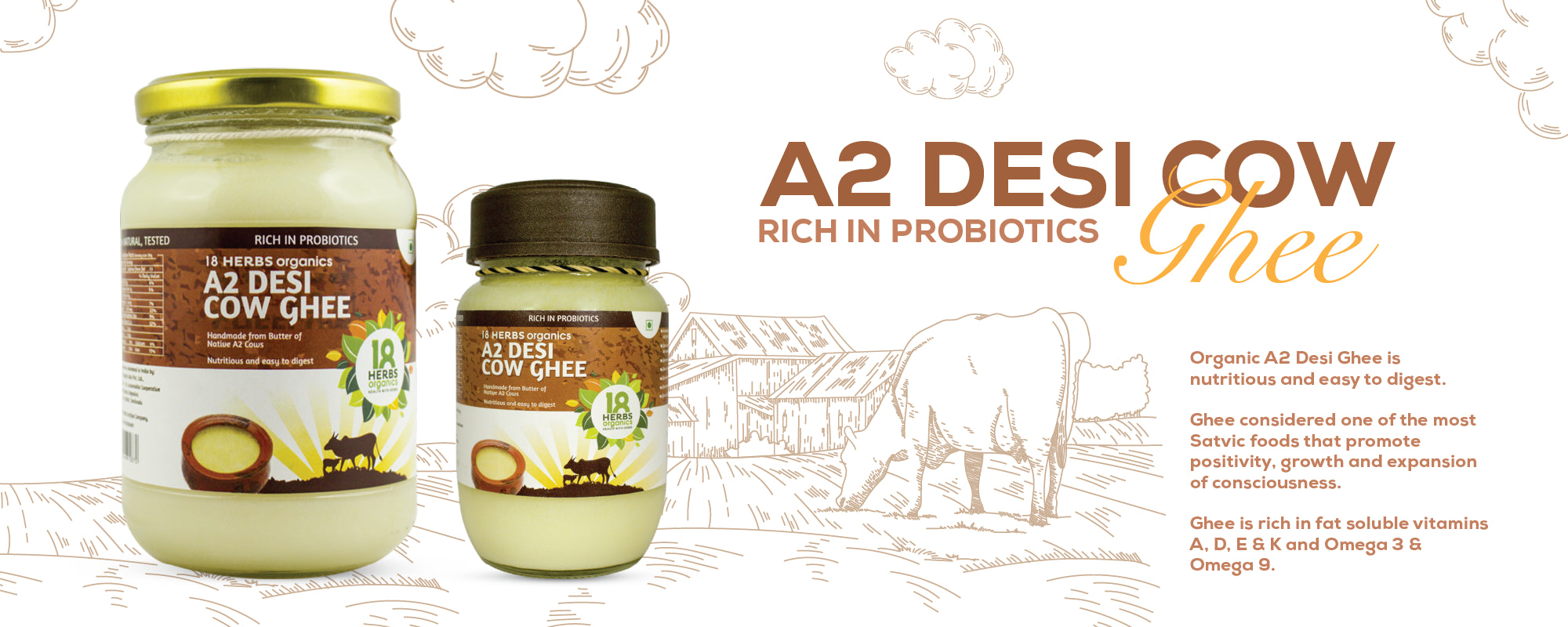 A2 Desi Cow Ghee