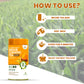 18 Herbs Organics Indian Turmeric Tea (TIN)